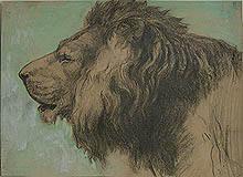 Untitled - Lion