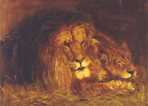 The Lion Couple at Rest