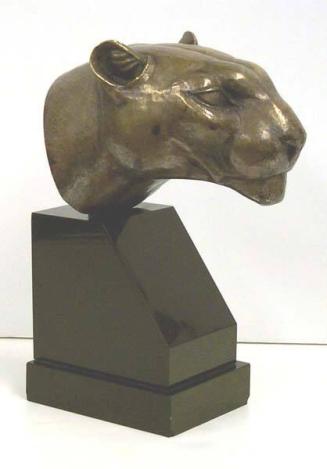 Head of a Panther