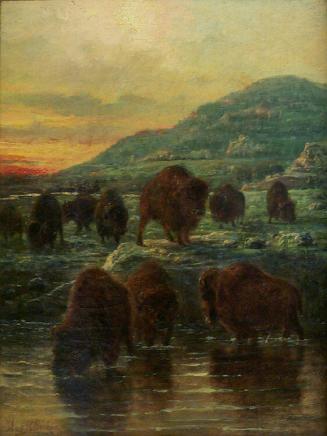 Buffalos Drinking at the Yellowstone