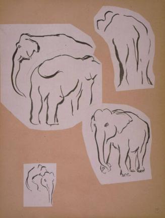 Elephant Sketches