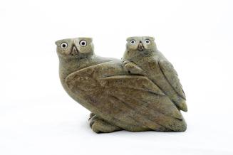 Alerted Owls