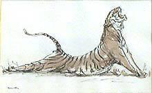 Tiger Stretching