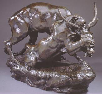 Panther Attacking a Stag