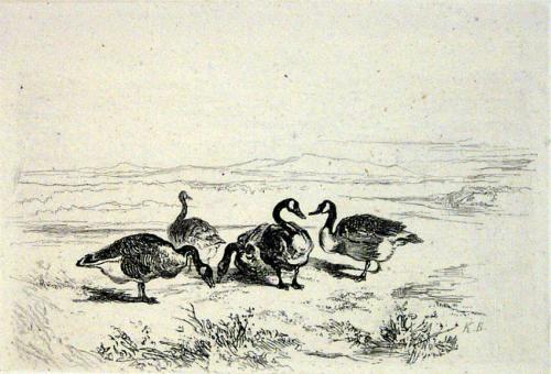 Five Geese Next to a Pond
