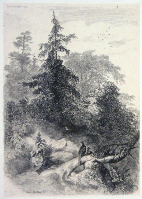 Two Pheasants in the Forest