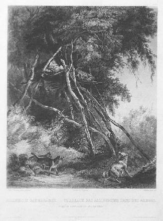 Tombs of Assiniboin Indians on Trees