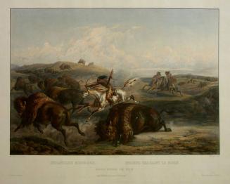 Indians Hunting the Bison