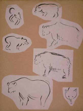 Bear Sketches