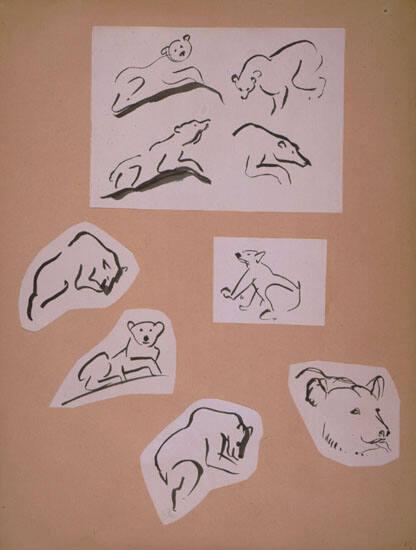 Polar Bear Sketches