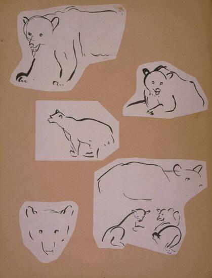 Polar Bear Sketches