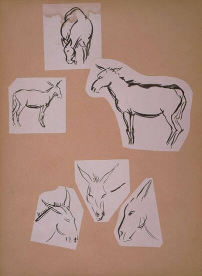Donkey Sketches
