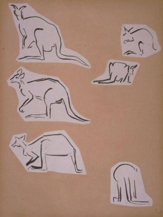 Kangaroo Sketches