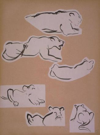 Female Lion Sketches