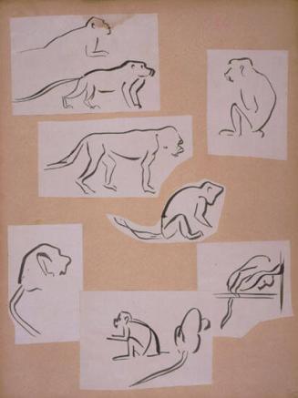 Monkey Sketches