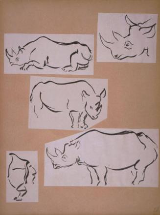 Rhino Sketches