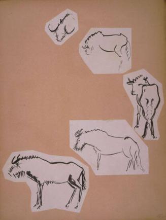 Wildebeest Sketches