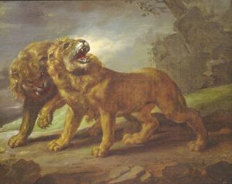 Two Lions, after Peter Paul Rubens