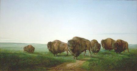 A Group of Buffalo