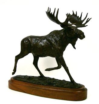 Moving Out (Bull Moose)