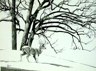 Deer in Snowy Landscape