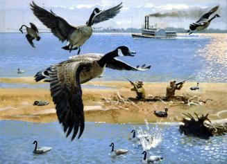Canadian Geese - Remington 150th Anniversary