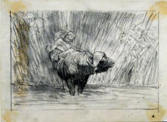 Sketch for Buffalo Bulls Emerging from Papyrus