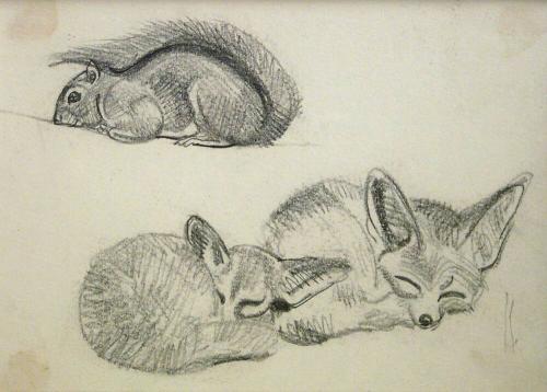 Untitled Sketch - Fox and Squirrel