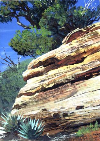 Rock Detail, Oak Creek Canyon, Arizona