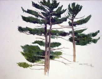 White Pines