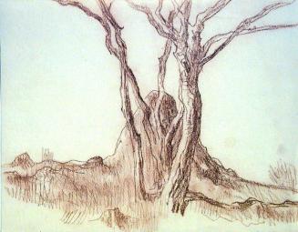 Tree and Rock sketch