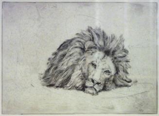 Lion Recumbant