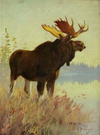 Sportsmen's Moose