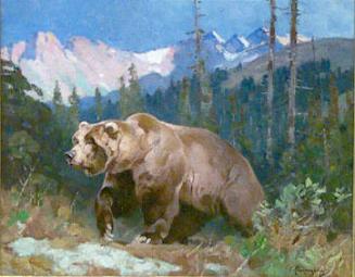 Out of the Shadows (Alaskan Brown Bear)