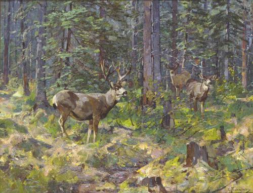 Buck and Doe in the Woods