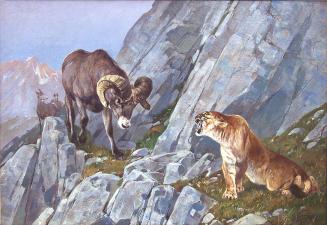 Rocky Mountain Encounter (Master of the Trail)