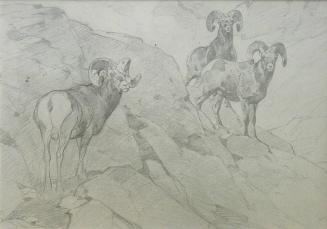 Wanderers Above Timberline sketch (sketch for possible drypoint)