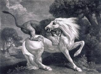 A Horse Attacked by a Lion