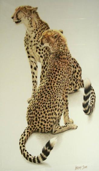 Cheetah Pair