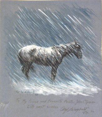 Horse in Snowstorm
