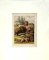 Untitled, Bison Hunting