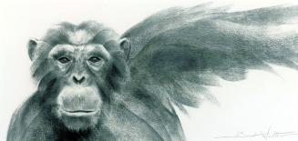 Chimp Portrait II