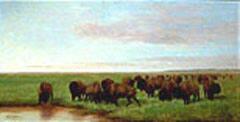The Prairie-Herd