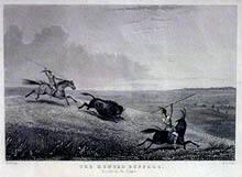 The Hunted Buffalo, A Scene of the Prairie