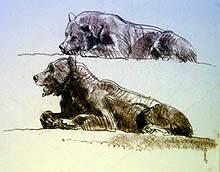 Sketch of Two Bears