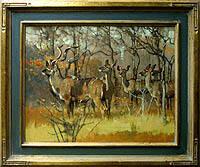 Greater Kudu, African Suite