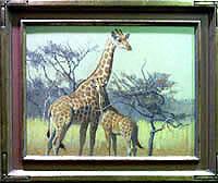 Southern Giraffe, African Suite