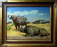 Cape Buffalo, African Suite