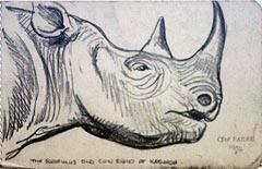 Rhino of Karungu